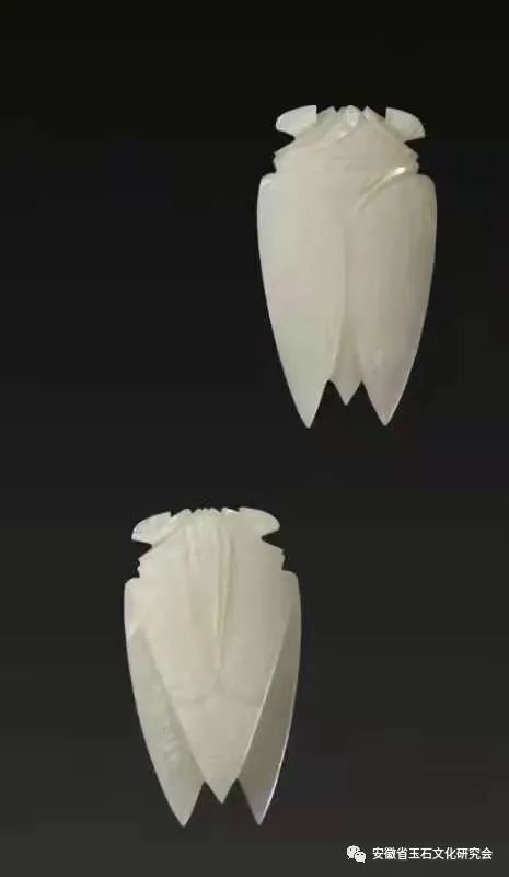 ͼƬ