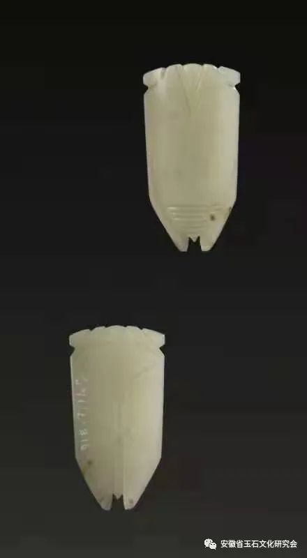 ͼƬ